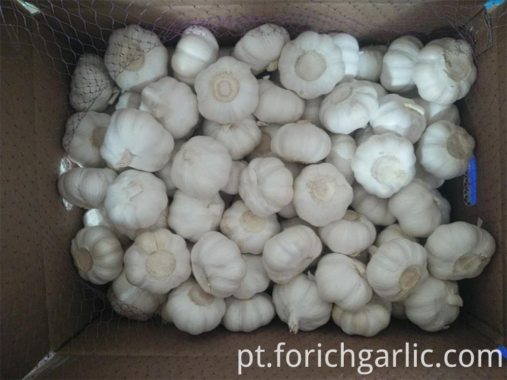 Pure White Garlic